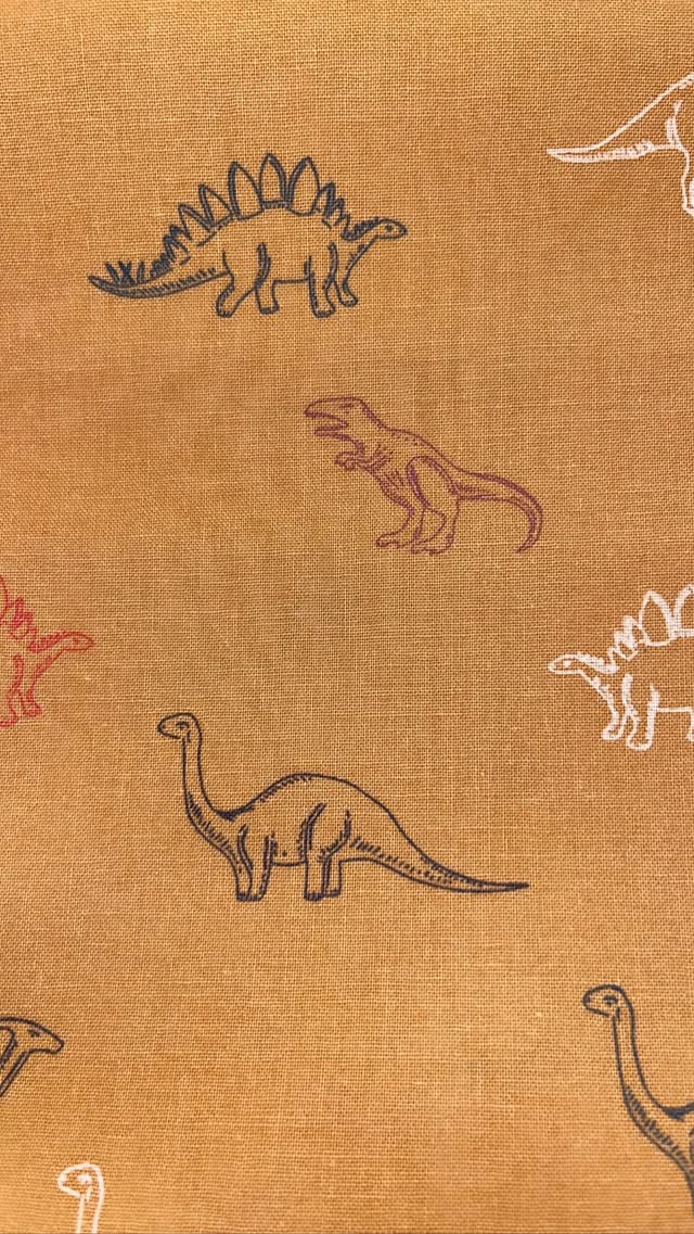 Dinos On Orange