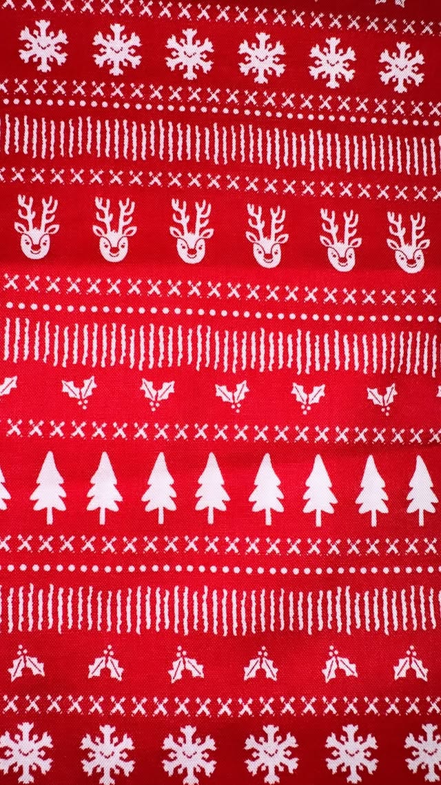 Festive Stripes on Red