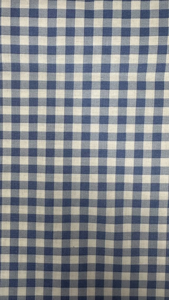 Light Blue Checkered