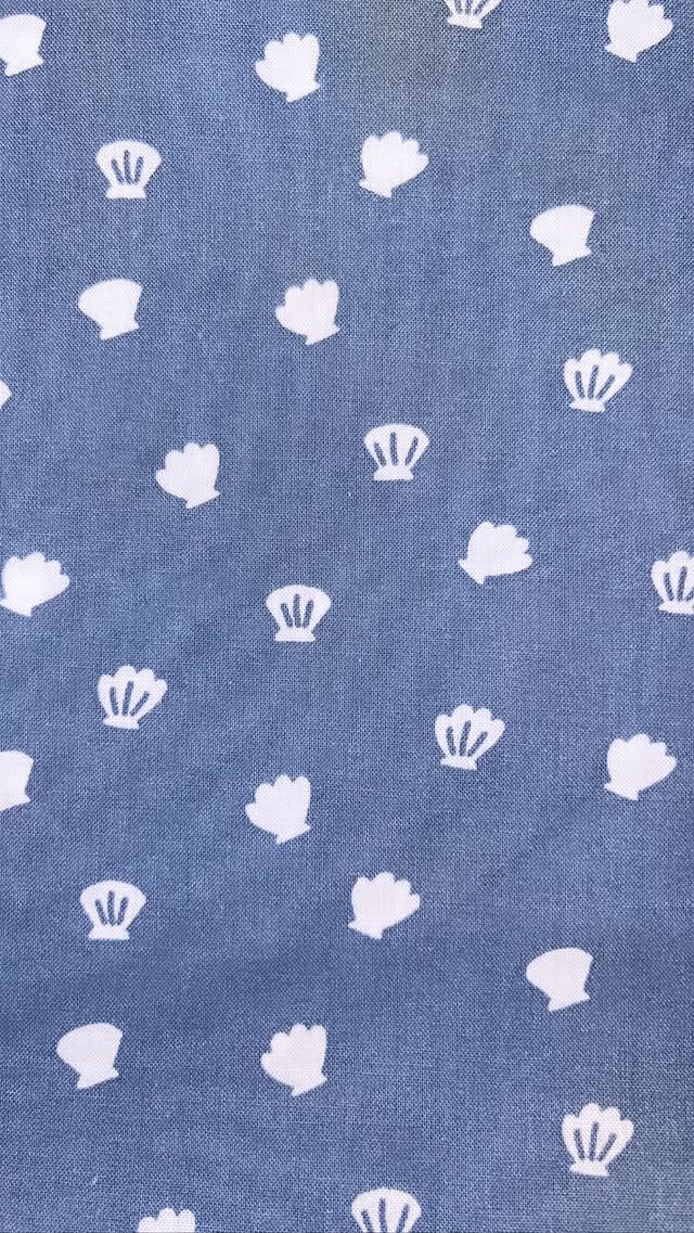 Mini Shells On Blue