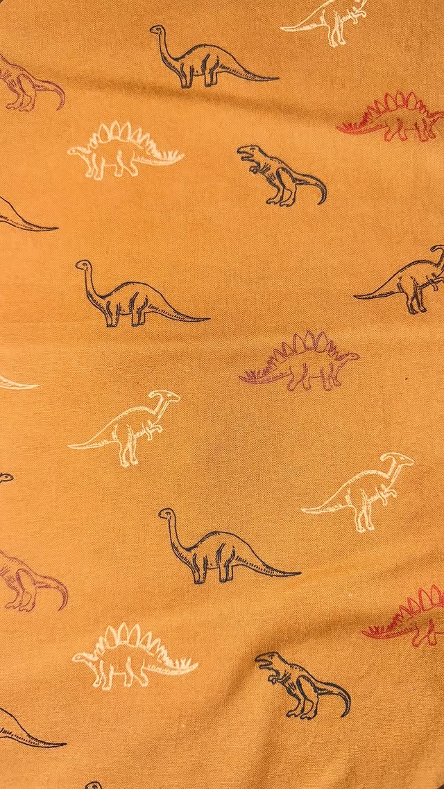 Orange Dino Line Art
