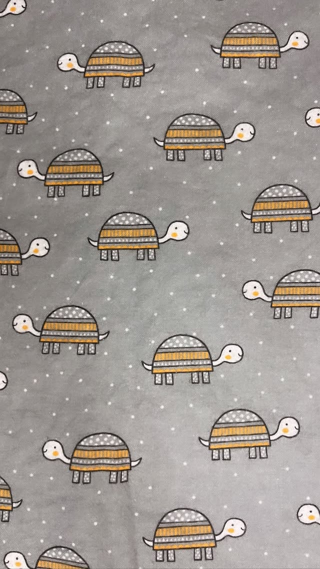 Turtles On Gray