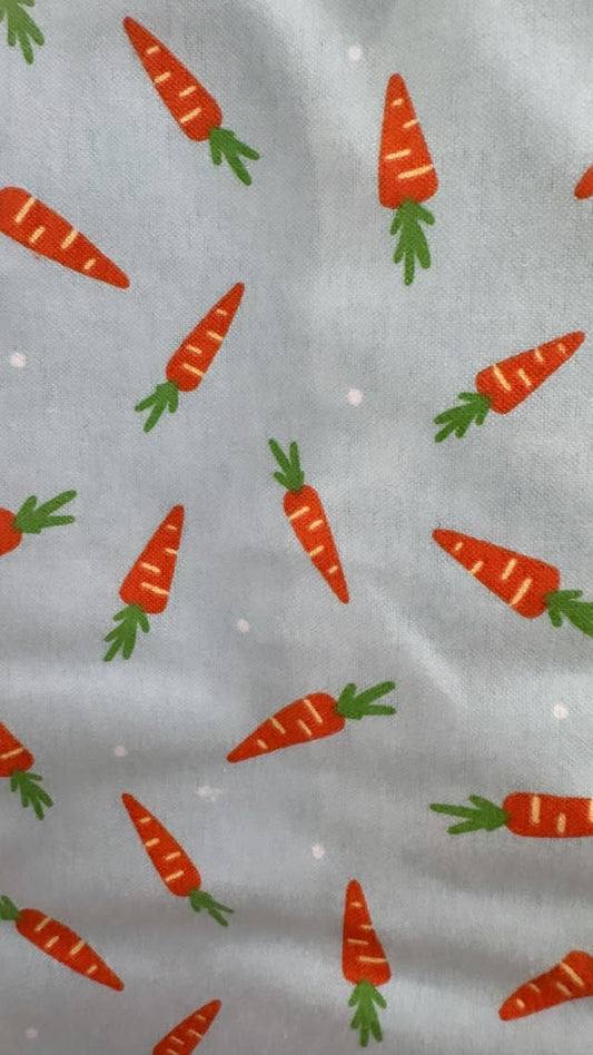 Carrots On Teal