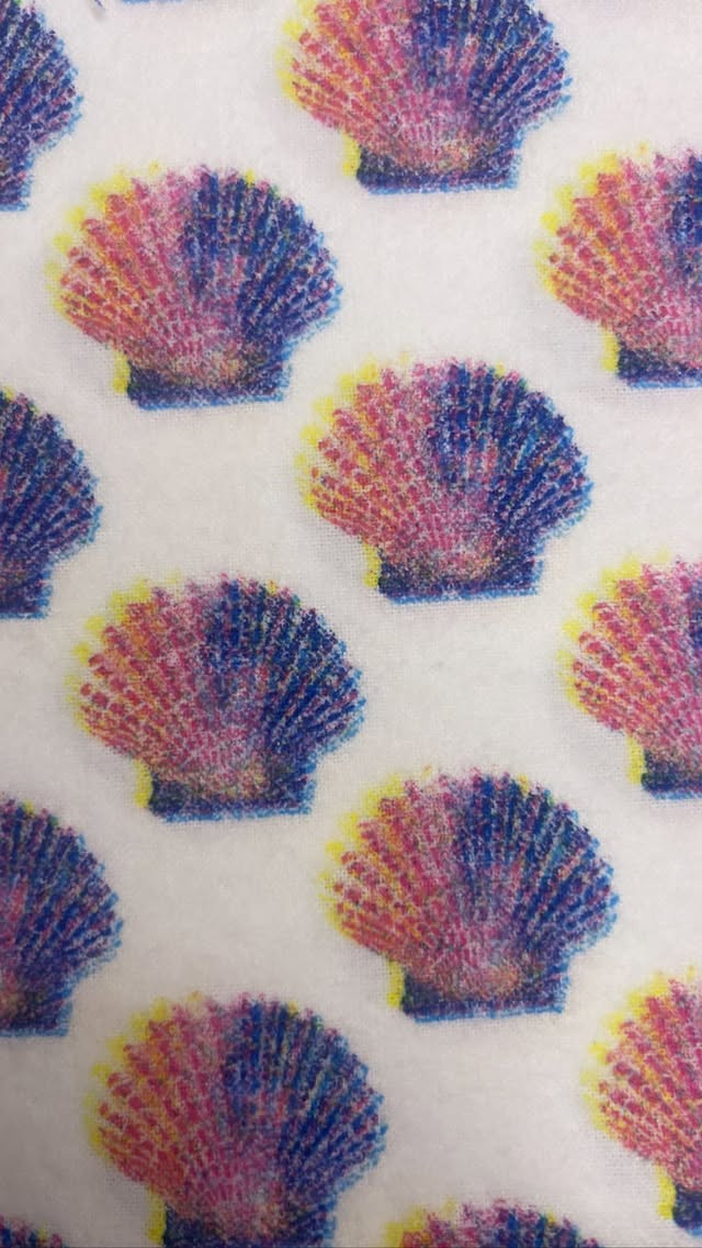 Colorful Shells