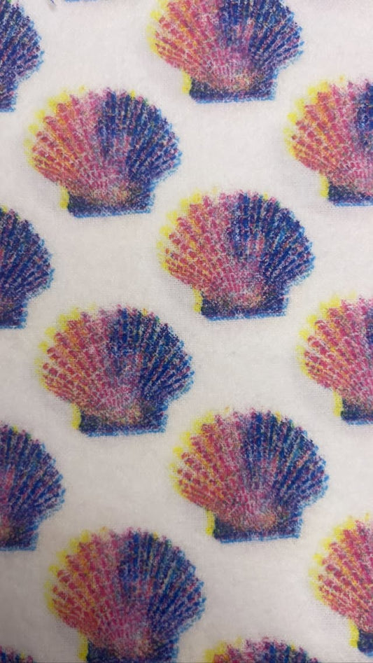 Colorful Shells