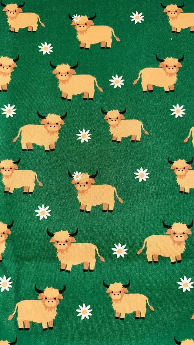 Highland Cow
