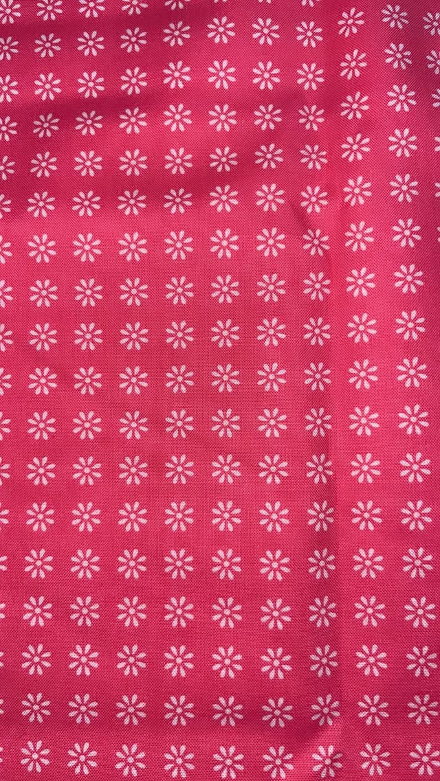 Hot Pink Mini Daisies