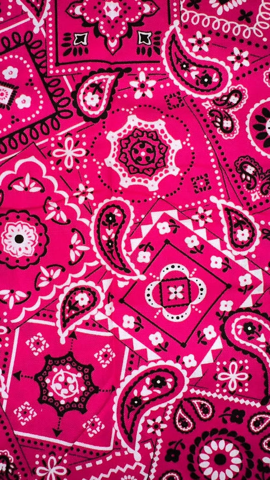 Hot Pink Paisley And Plaid
