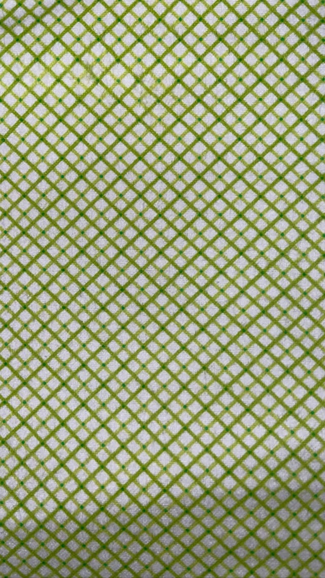Light Green Plaid