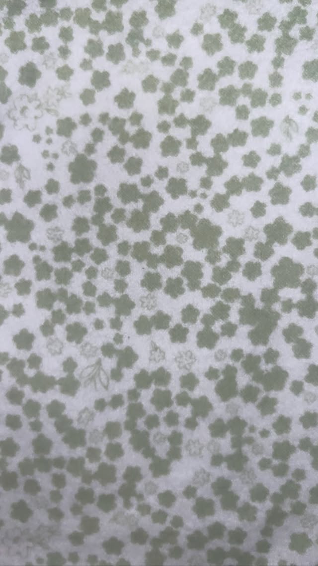 Mini Pastel Green Floral