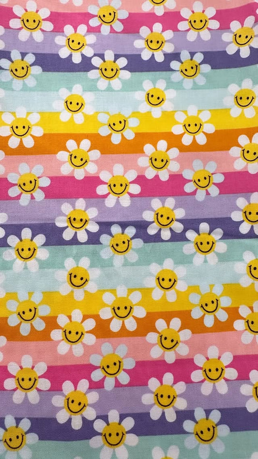 Multi Colored Smiling Daisies