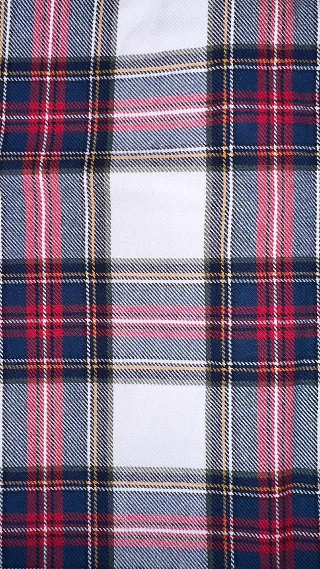 Red, Navy, White Plaid
