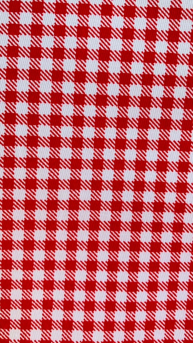 Red And White Mini Checkered