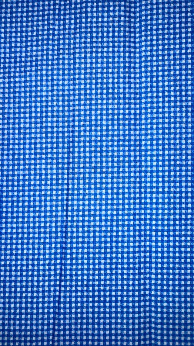 Royal Mini Blue Check