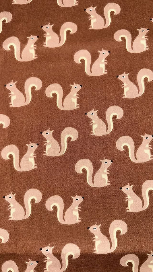 Squirrels