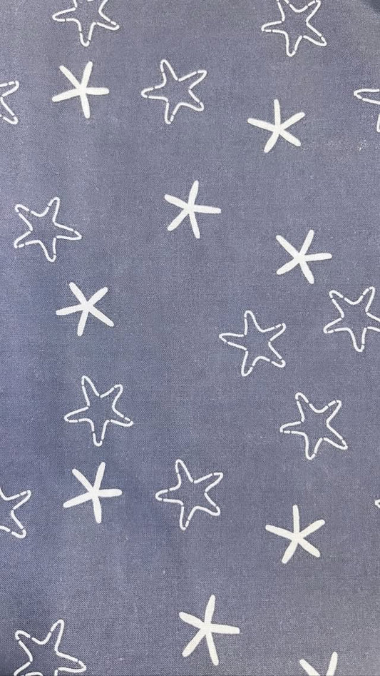 Starfish On Blue