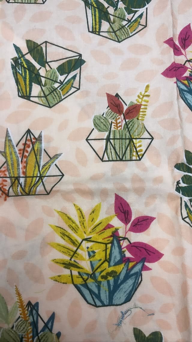 Succulents On Light Pink
