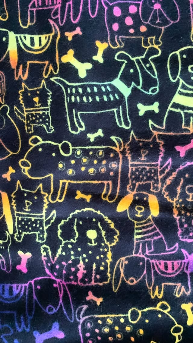 Rainbow Outline Dogs On Black